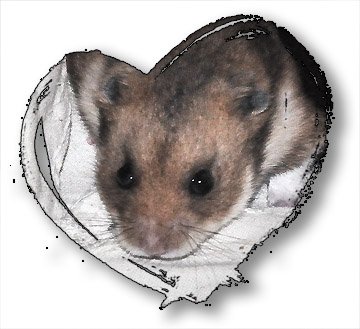 Diddley Squat is all heart