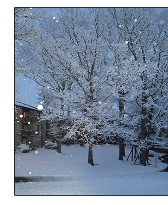 Springtime and snowy weather are not mutually exclusive